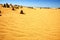 The Pinnacles - Australia