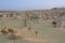 Pinnacles desert landscape at sunset. Nambung national park. Cervantes. Western Australia. Australia