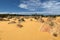 Pinnacles Desert, Nambung National Park, near the town of Cervantes, Western Australia