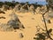 Pinnacles Desert, Nambung National Park, near the town of Cervantes, Western Australia