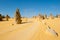 Pinnacles desert outback Australia