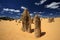 Pinnacles Desert,West Australia