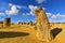 The Pinnacles Dessert famous for its limestone rock formations