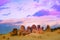 Pinnacles, evening sky, West Australia, Pinnacle Nambung Park