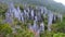 Pinnacles, Gunung Mulu, Borneo, Malaysia