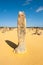 Pinnacles at Nambung National Park Australia