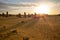 Pinnacles sand desert Western Australia