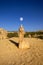 Pinnacles sand desert Western Australia