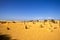 Pinnacles sand desert Western Australia