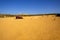 Pinnacles sand desert Western Australia