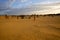 Pinnacles sand desert Western Australia