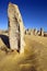 The Pinnacles Western Australia