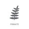 Pinnate icon. Trendy Pinnate logo concept on white background fr