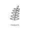 Pinnate icon. Trendy Pinnate logo concept on white background fr