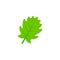 Pinnatifid oak leaf flat icon