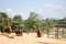 The Pinnawala Elephant Orphanage in Sri Lanka