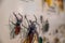 Pinned exotic species of coleoptera beetles in an insect collection