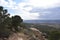 Pinon Pines stand sentry on Black Mesa, Arizona overlooking Peabody Coal Mine`s Infrastructure