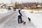 Pinscher dog walking outside in winter time