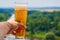 Pint of Czech beer on a terrace in Melnik, Czech Republic