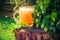 Pint golden beer wooden trunk