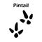 Pintail Footprint