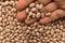 Pinto Bean legume. Person with grains in hand. Macro. Whole food