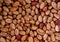 The pinto bean Phaseolus vulgaris, nutrient-dense legume