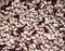 Pinto beans background