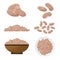 Pinto beans set illustration. Vector.