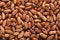 Pinto spotted bean closeup background texture