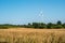 Pinwheel behind a dry meadow and a row of trees