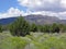 Pinyon juniper and sage biome in east- central Nevada.