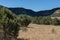 Pinyon Juniper Woodland with Distant Hills