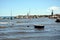 Piombino and rocks, view at Livorno, Tuscany, Italy, Europe