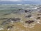 Pipa Beach and Baia dos Golfinhos - Beach of Natal, Rio Grande do Norte, northeastern coast of Brazil