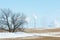 pipe plant. Field with the last snow. lonely autumn tree. solitary spring tree