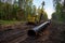 Pipelayer with side boom Installation of  gas and crude oil pipes in ground. Construction of the gas pipes to new LNG plant