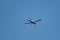 Piper PA28-181 Archer III airplane overhead Wangen-Lachen in Switzerland