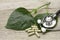 Piper sarmentosum green leaves  Wildbetal leafbush, Betel  with herbal capsules