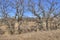 Pipestone National Monument in Southwestern Minnesota