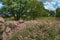 Pipestone National Monument in Southwestern Minnesota