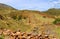 Piquillacta, a Massive Archaeological Site of the Wari Culture in the South Valley of Cusco Region, Peru