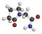 Piracetam nootropic drug molecule. Atoms are represented as spheres with conventional color coding: hydrogen (white), carbon (grey