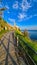 Piran - Scenic walking path between Fiesa and charming coastal town of Piran