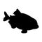 Piranha Fish (Tetra) Swimming On a Side View Silhouette Found In Map Of South America.