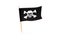 Pirate Flag