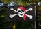 Pirate Flag