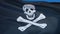 Pirate flag in slow motion seamlessly looped with alpha