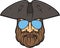 Pirate head with aviator sunglasses